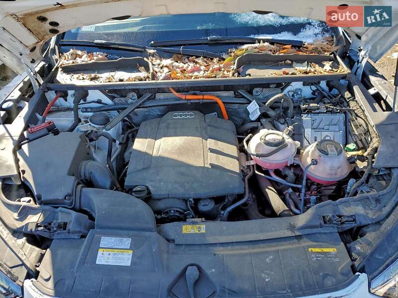 Внедорожник / Кроссовер Audi Q5 2022 в Житомире