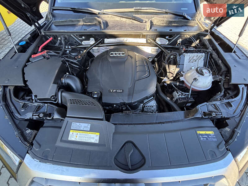 Внедорожник / Кроссовер Audi Q5 2017 в Дрогобыче