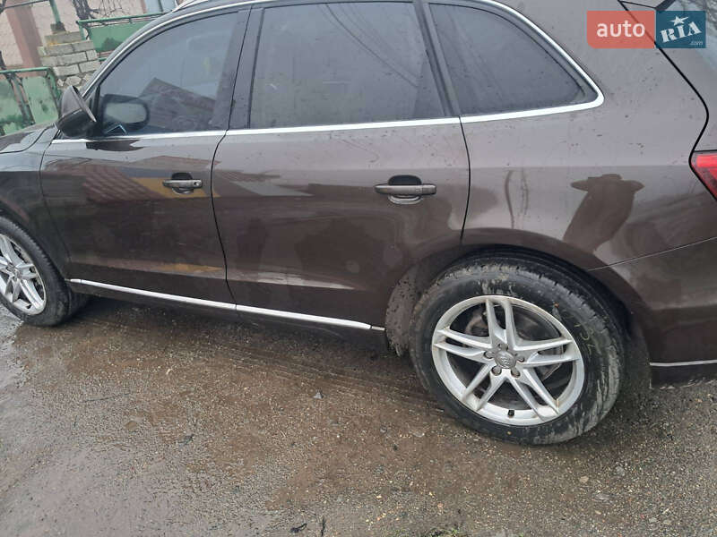 Внедорожник / Кроссовер Audi Q5 2013 в Кривом Озере