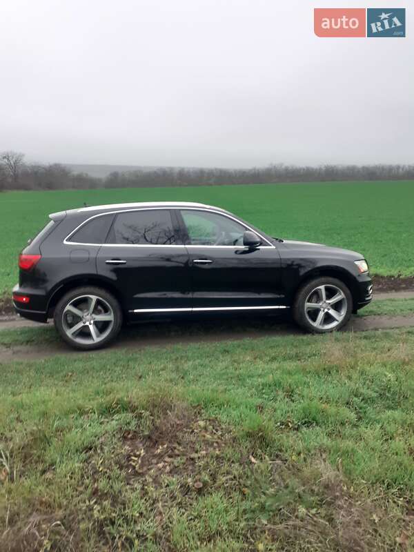 Внедорожник / Кроссовер Audi Q5 2015 в Раздельной фото Внедорожник / Кроссовер Audi Q5 2015 в Раздельной