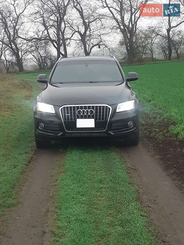 Внедорожник / Кроссовер Audi Q5 2015 в Раздельной фото 11 Внедорожник / Кроссовер Audi Q5 2015 в Раздельной