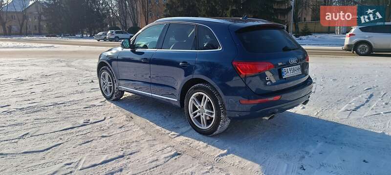 Позашляховик / Кросовер Audi Q5 2013 в Жовтих Водах фото 19 Позашляховик / Кросовер Audi Q5 2013 в Жовтих Водах