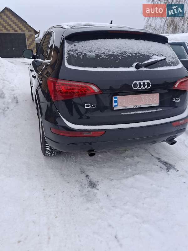 Внедорожник / Кроссовер Audi Q5 2011 в Владимирце