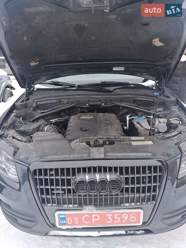 Внедорожник / Кроссовер Audi Q5 2011 в Владимирце