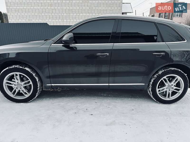 Внедорожник / Кроссовер Audi Q5 2014 в Василькове фото 7 Внедорожник / Кроссовер Audi Q5 2014 в Василькове