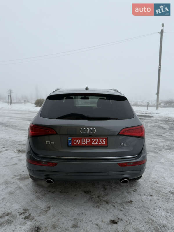 Внедорожник / Кроссовер Audi Q5 2016 в Коломые фото 11 Внедорожник / Кроссовер Audi Q5 2016 в Коломые