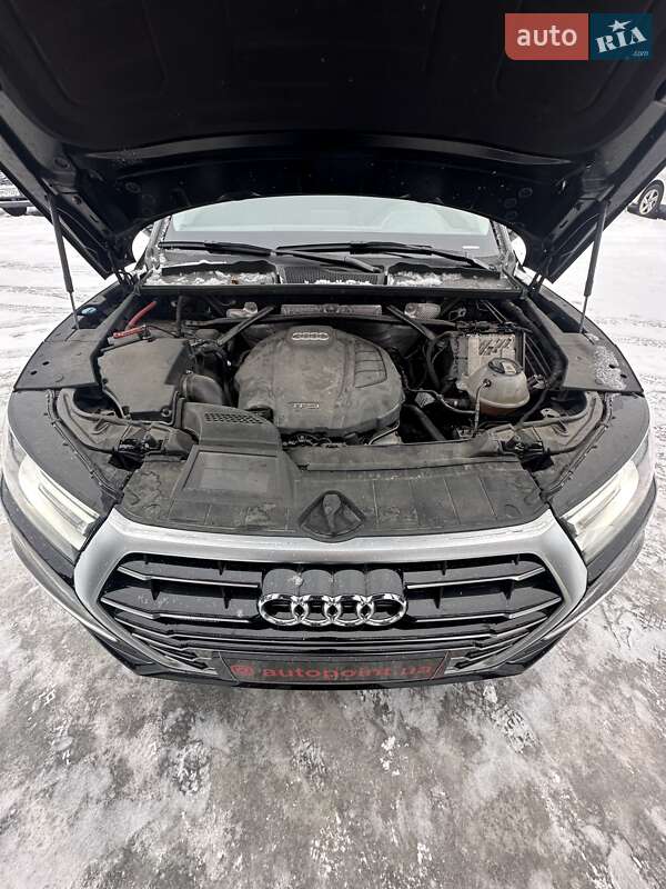 Позашляховик / Кросовер Audi Q5 2018 в Білогородці фото 45 Позашляховик / Кросовер Audi Q5 2018 в Білогородці