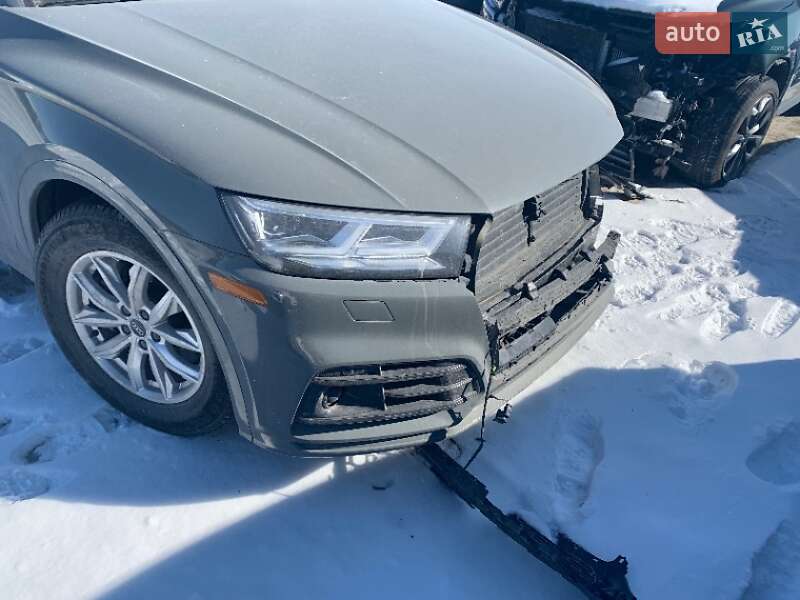 Внедорожник / Кроссовер Audi Q5 2019 в Ровно фото 55 Внедорожник / Кроссовер Audi Q5 2019 в Ровно