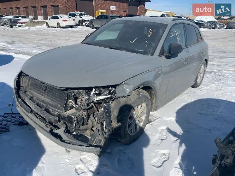 Внедорожник / Кроссовер Audi Q5 2019 в Ровно фото 60 Внедорожник / Кроссовер Audi Q5 2019 в Ровно