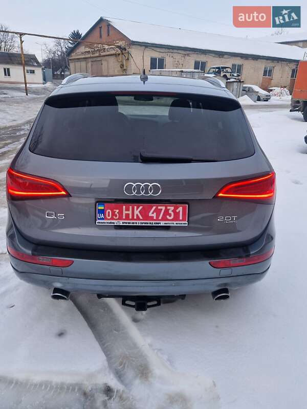 Внедорожник / Кроссовер Audi Q5 2014 в Виннице фото 13 Внедорожник / Кроссовер Audi Q5 2014 в Виннице
