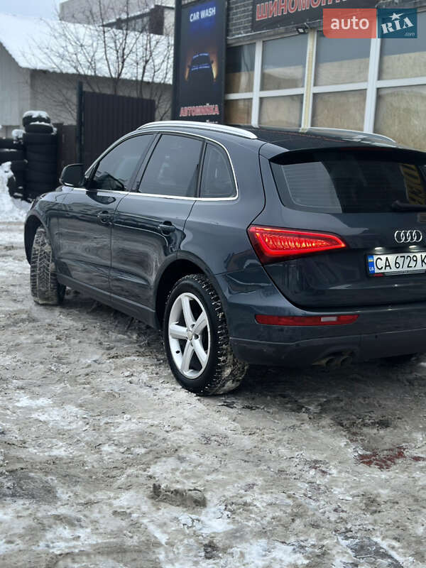 Внедорожник / Кроссовер Audi Q5 2009 в Киеве фото 5 Внедорожник / Кроссовер Audi Q5 2009 в Киеве