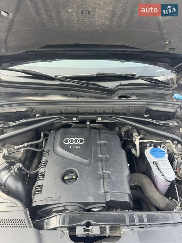 Внедорожник / Кроссовер Audi Q5 2015 в Львове фото 18 Внедорожник / Кроссовер Audi Q5 2015 в Львове