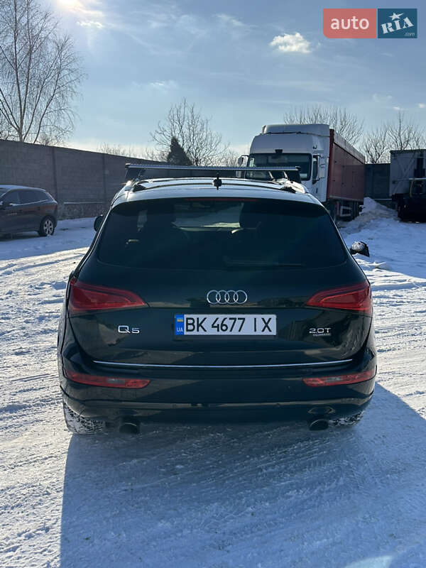 Внедорожник / Кроссовер Audi Q5 2016 в Сарнах