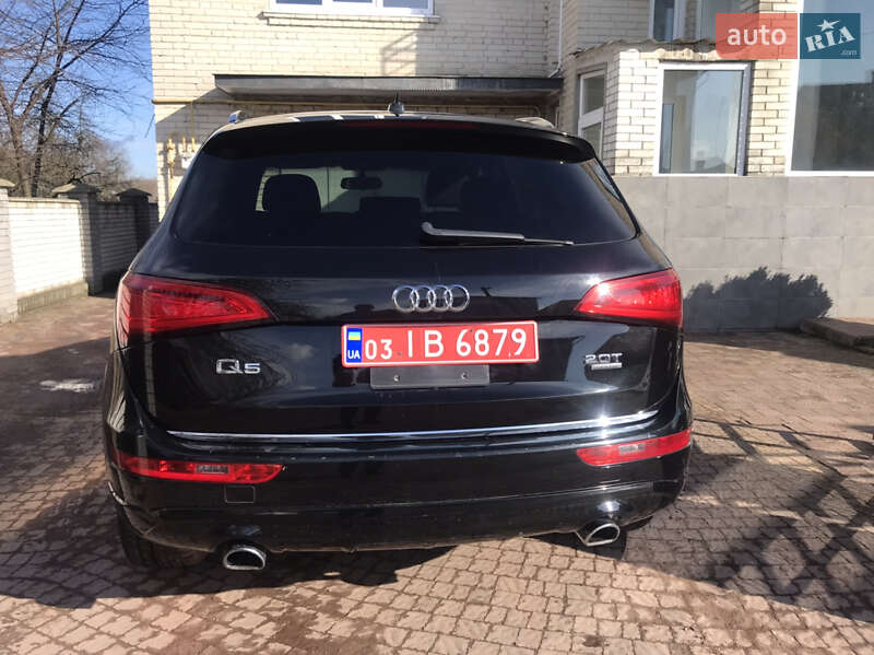 Позашляховик / Кросовер Audi Q5 2017 в Шептицькому фото 4 Позашляховик / Кросовер Audi Q5 2017 в Шептицькому