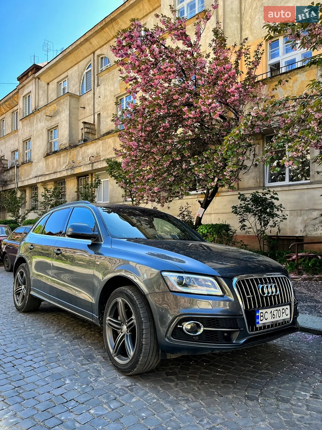 2014 Audi Q5 - мініатюра 2