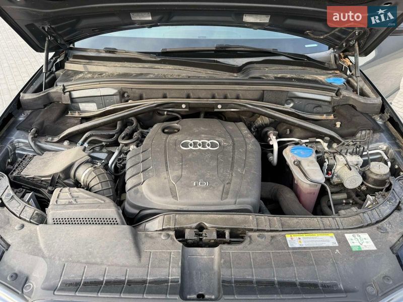 Внедорожник / Кроссовер Audi Q5 2011 в Новоархангельске фото 25 Внедорожник / Кроссовер Audi Q5 2011 в Новоархангельске