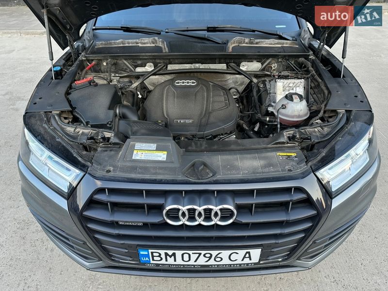 Позашляховик / Кросовер Audi Q5 2019 в Києві фото 20 Позашляховик / Кросовер Audi Q5 2019 в Києві