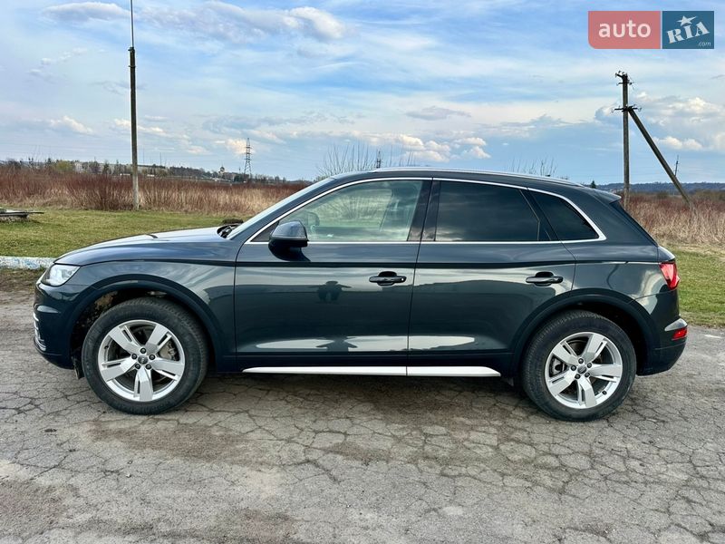 Позашляховик / Кросовер Audi Q5 2019 в Золочеві