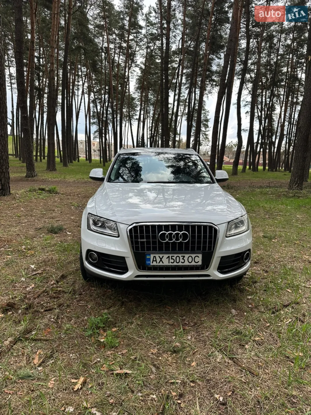 2013 Audi Q5 - мініатюра 17