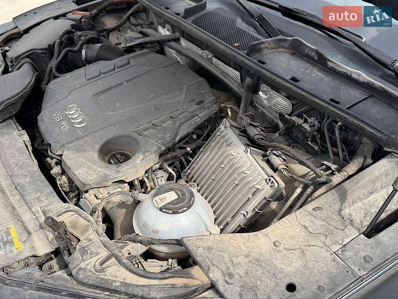 Внедорожник / Кроссовер Audi Q5 2019 в Житомире