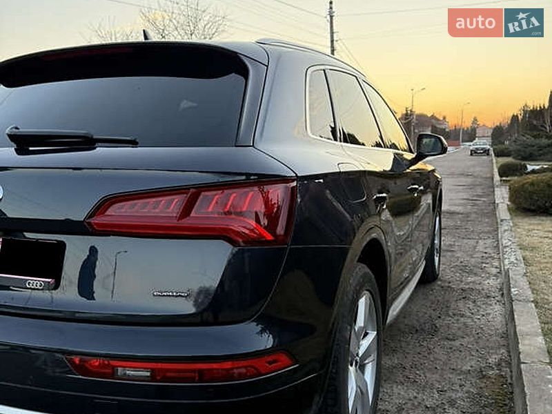 Внедорожник / Кроссовер Audi Q5 2019 в Белой Церкви