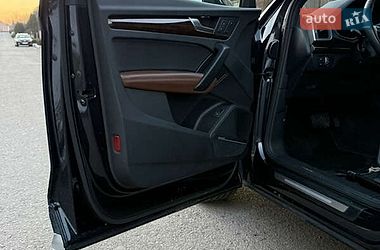 Внедорожник / Кроссовер Audi Q5 2019 в Белой Церкви