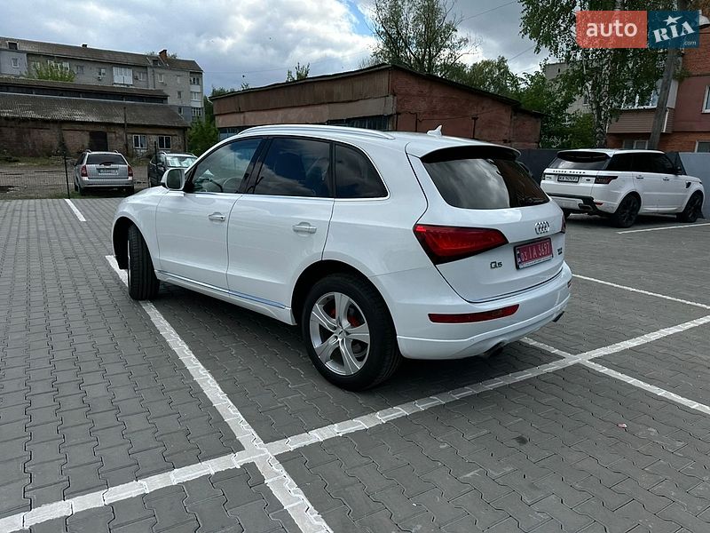 Внедорожник / Кроссовер Audi Q5 2017 в Нежине