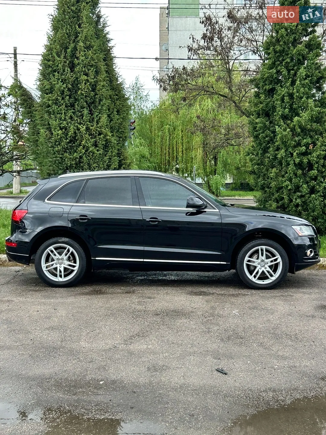 2013 Audi Q5 - мініатюра 4