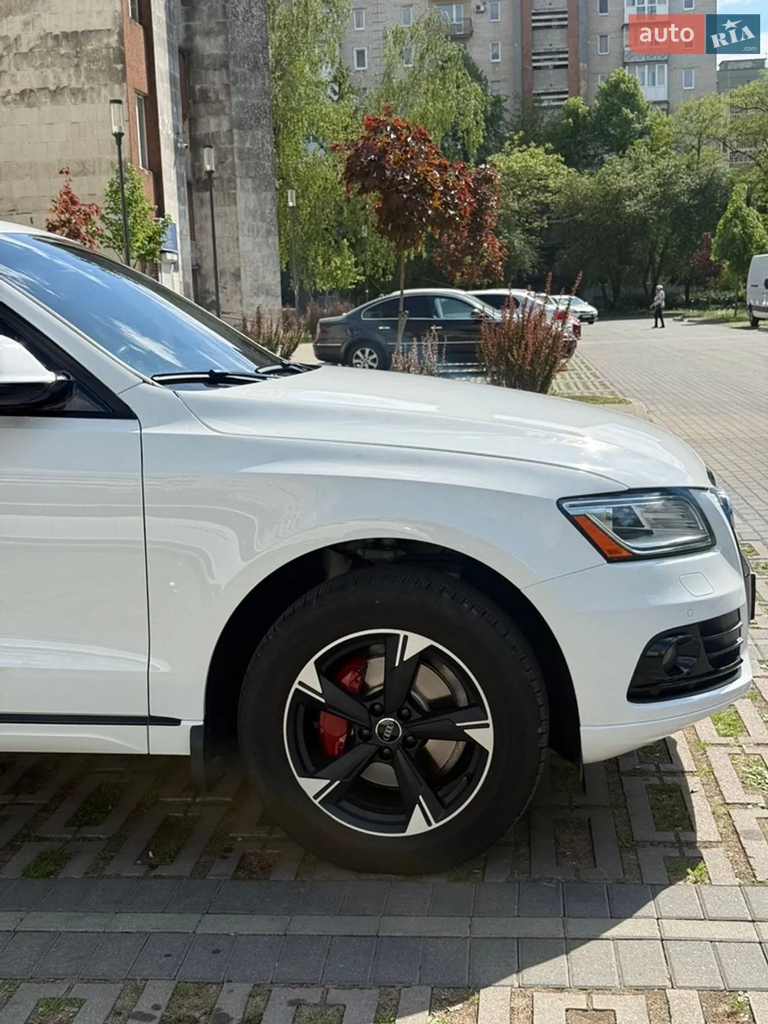 2015 Audi Q5 - мініатюра 12