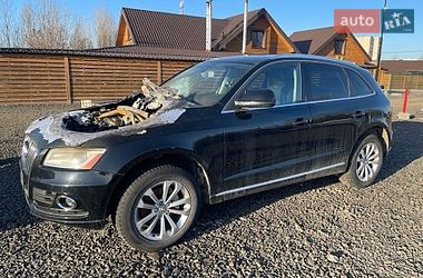Внедорожник / Кроссовер Audi Q5 2014 в Нововолынске