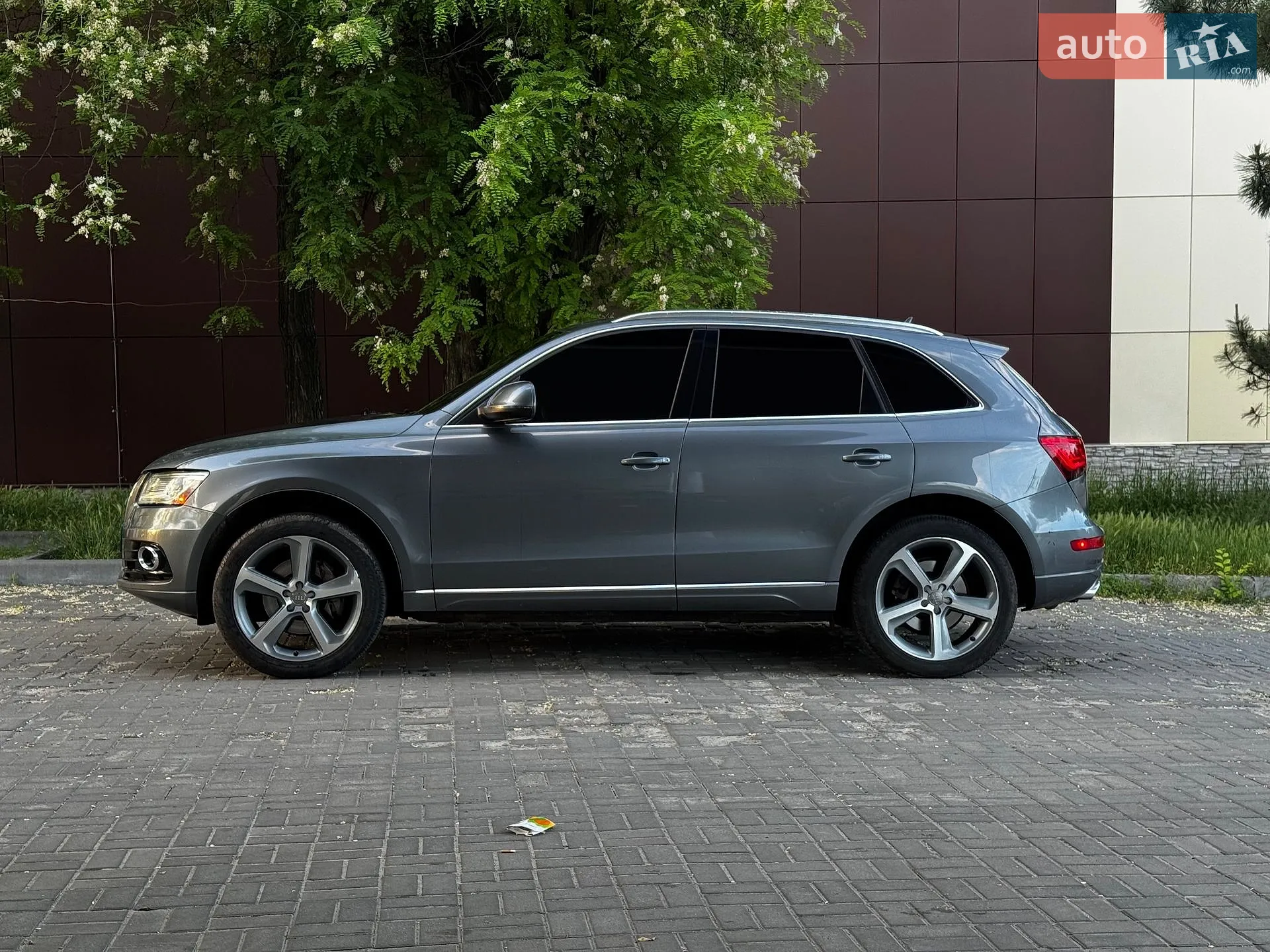 2014 Audi Q5 - мініатюра 6