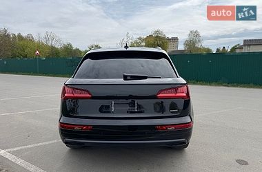 Внедорожник / Кроссовер Audi Q5 2019 в Ивано-Франковске