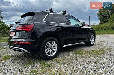 Внедорожник / Кроссовер Audi Q5 2023 в Бердичеве
