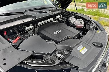 Внедорожник / Кроссовер Audi Q5 2023 в Бердичеве