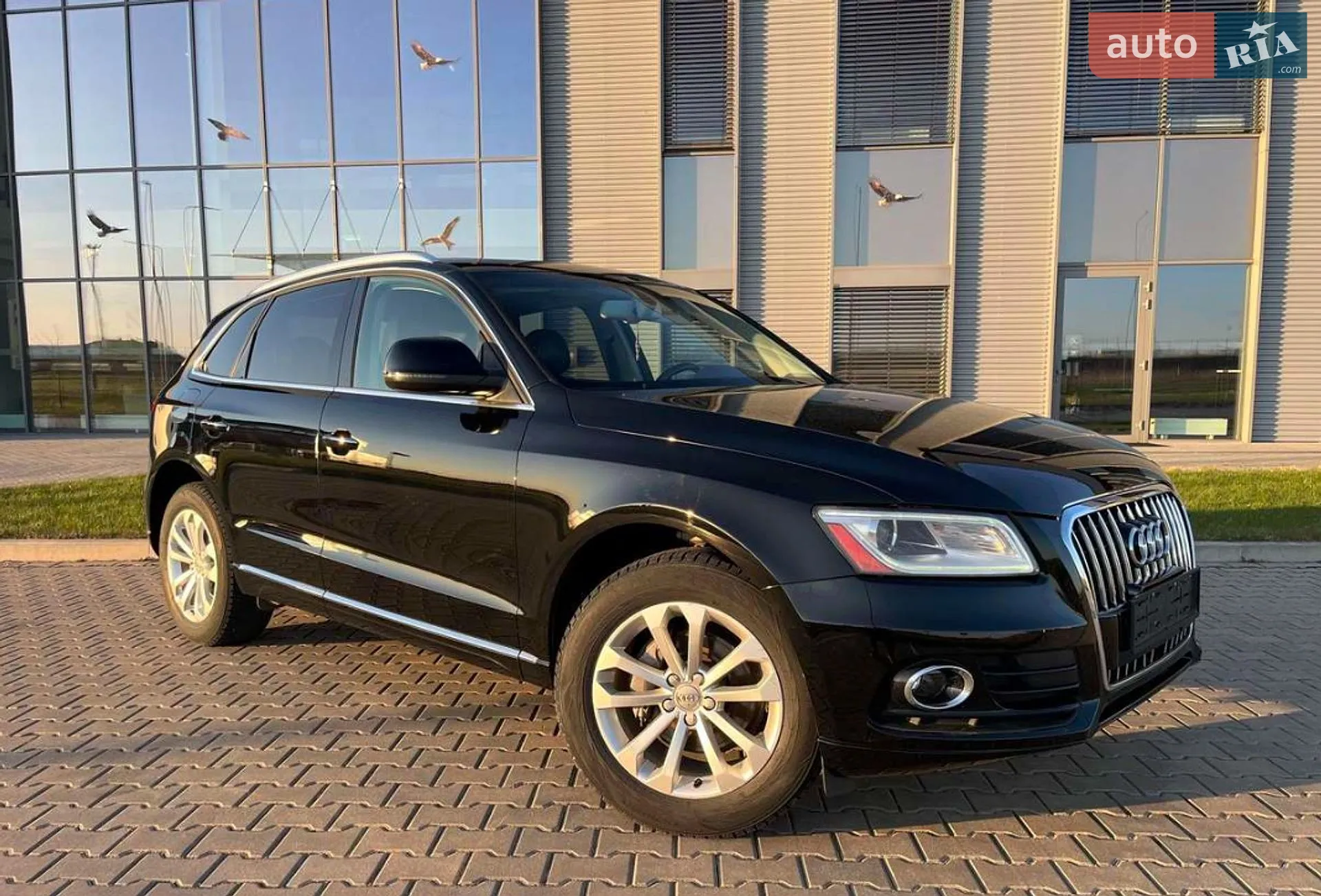 2014 Audi Q5 - фото 1