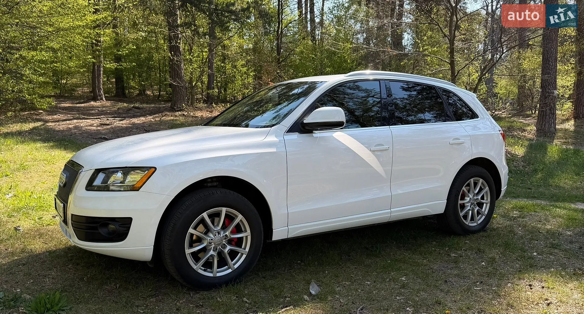 2010 Audi Q5 - мініатюра 2