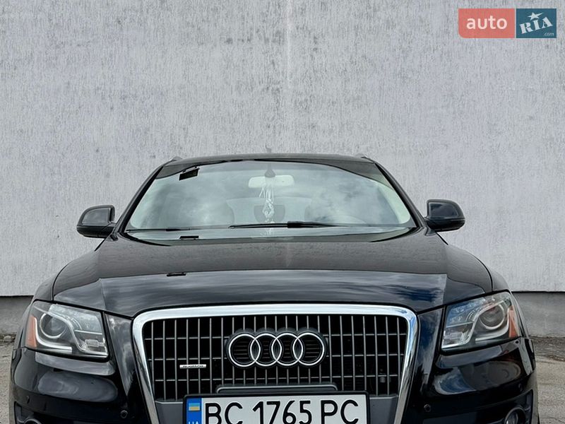 2011 Audi Q5, VIN WA1LFAFP6BA117238:plate — фото 1 (autoria)