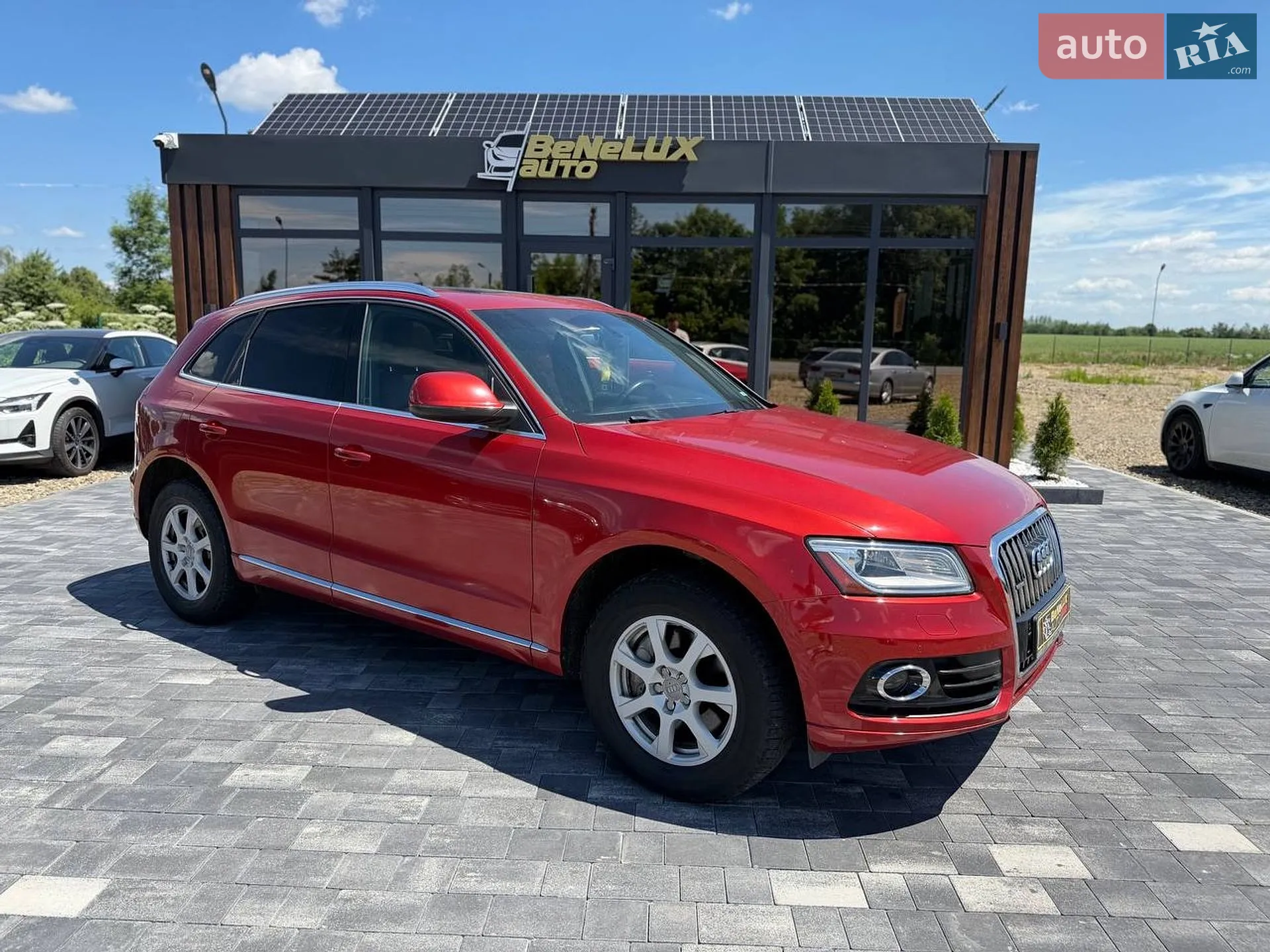 2013 Audi Q5 - фото 1