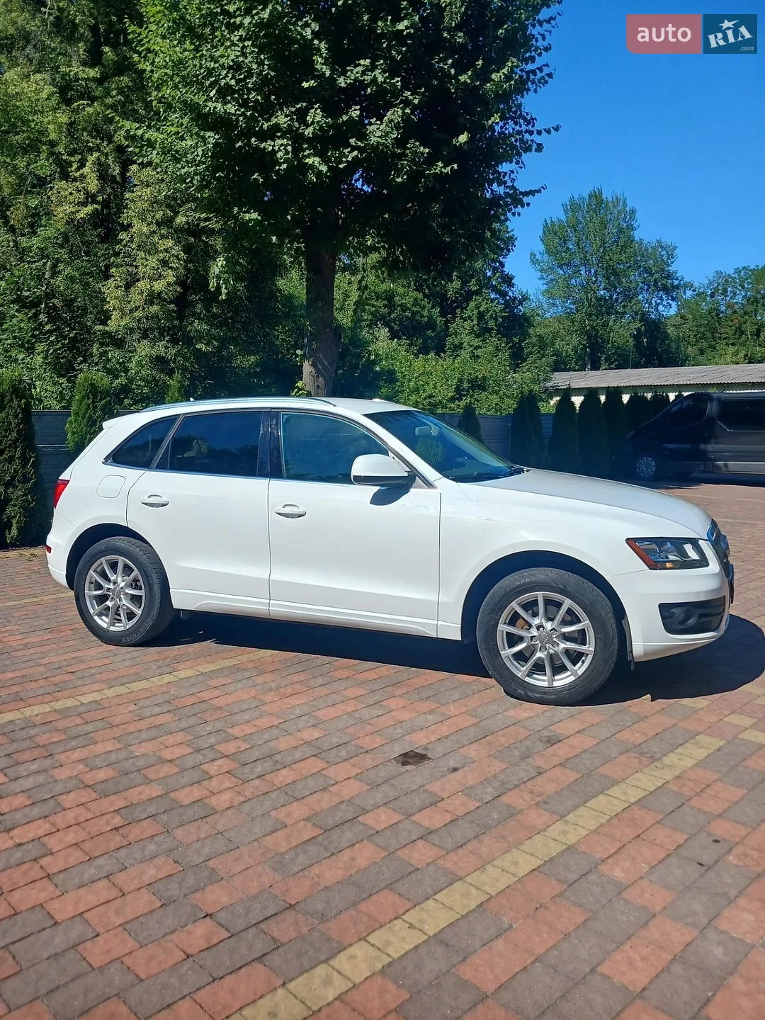2011 Audi Q5 - мініатюра 3