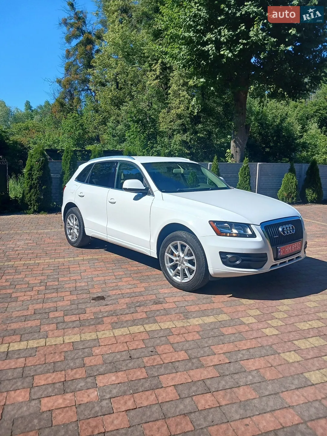 2011 Audi Q5 - мініатюра 2