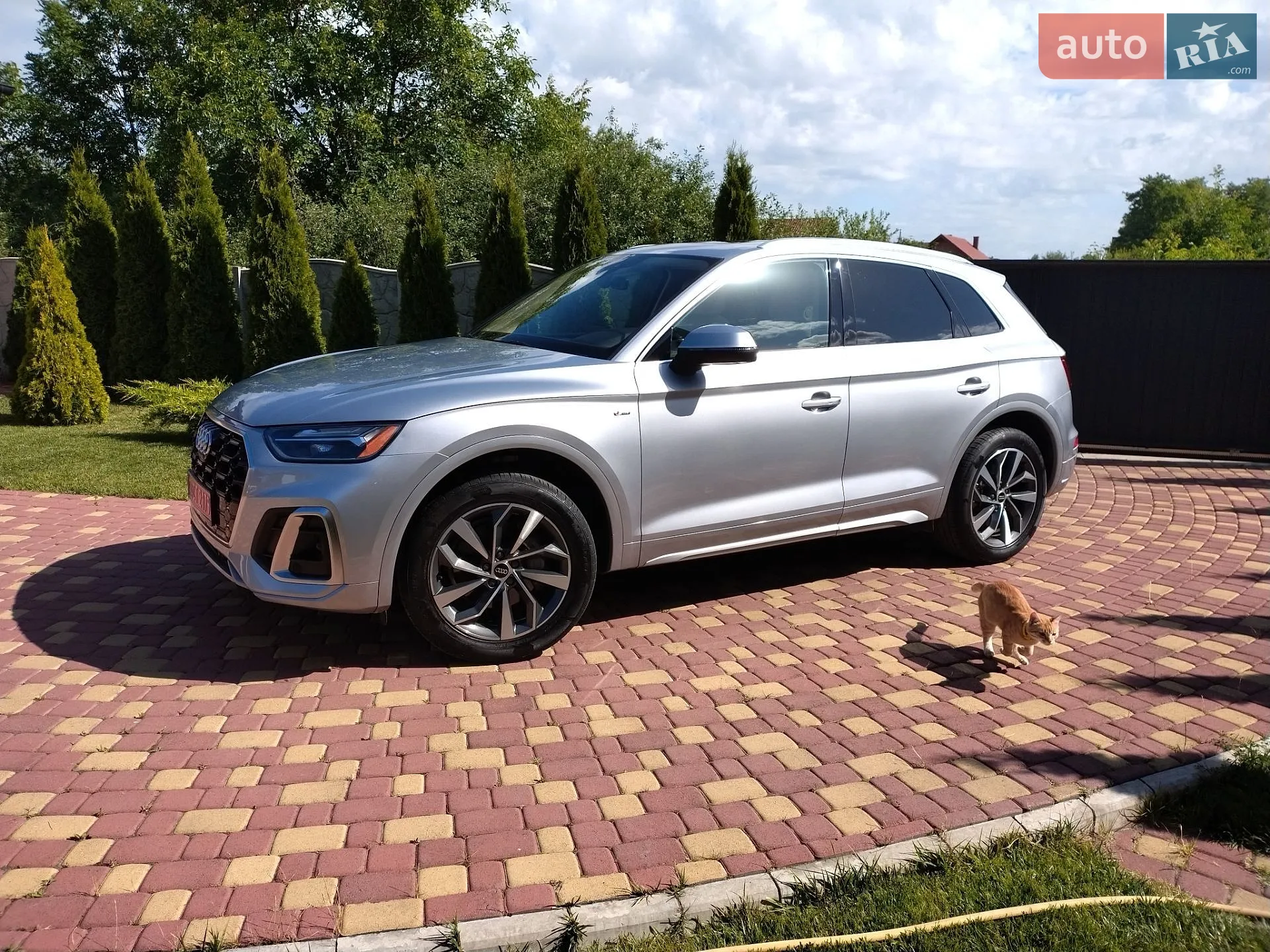2022 Audi Q5 - мініатюра 2