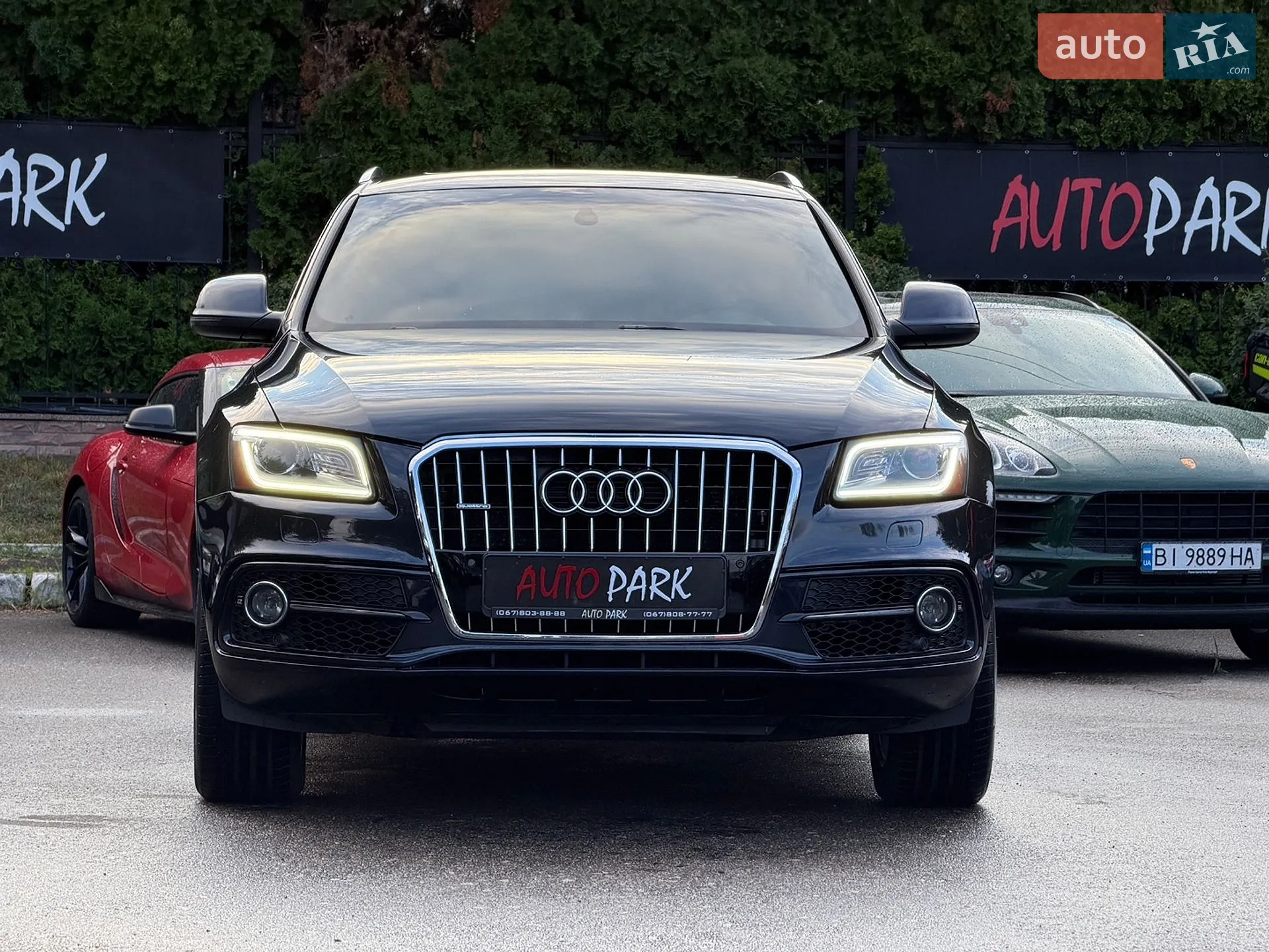 2013 Audi Q5 - мініатюра 5