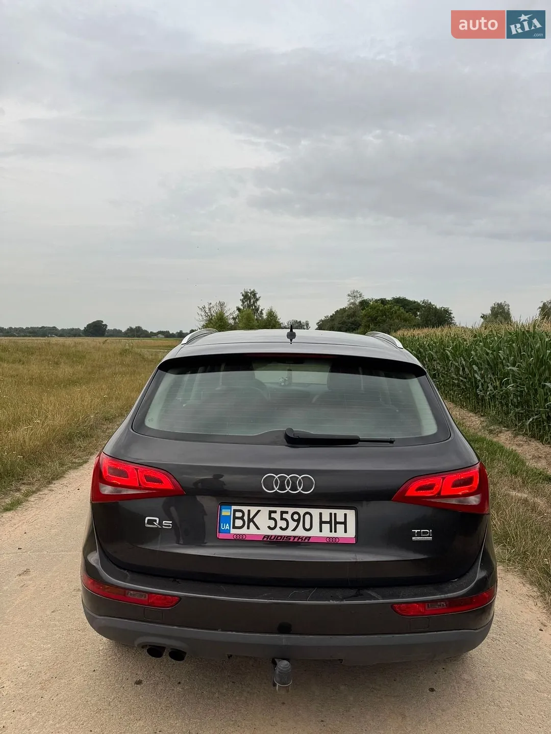 2010 Audi Q5 - мініатюра 13
