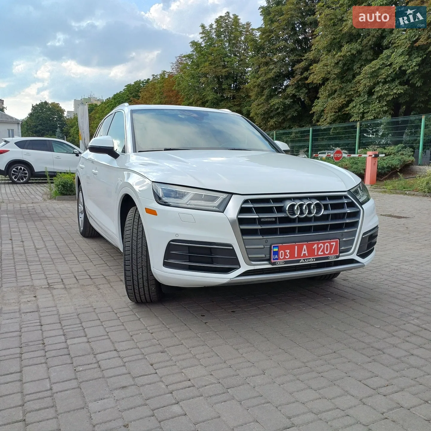 2019 Audi Q5 - фото 1