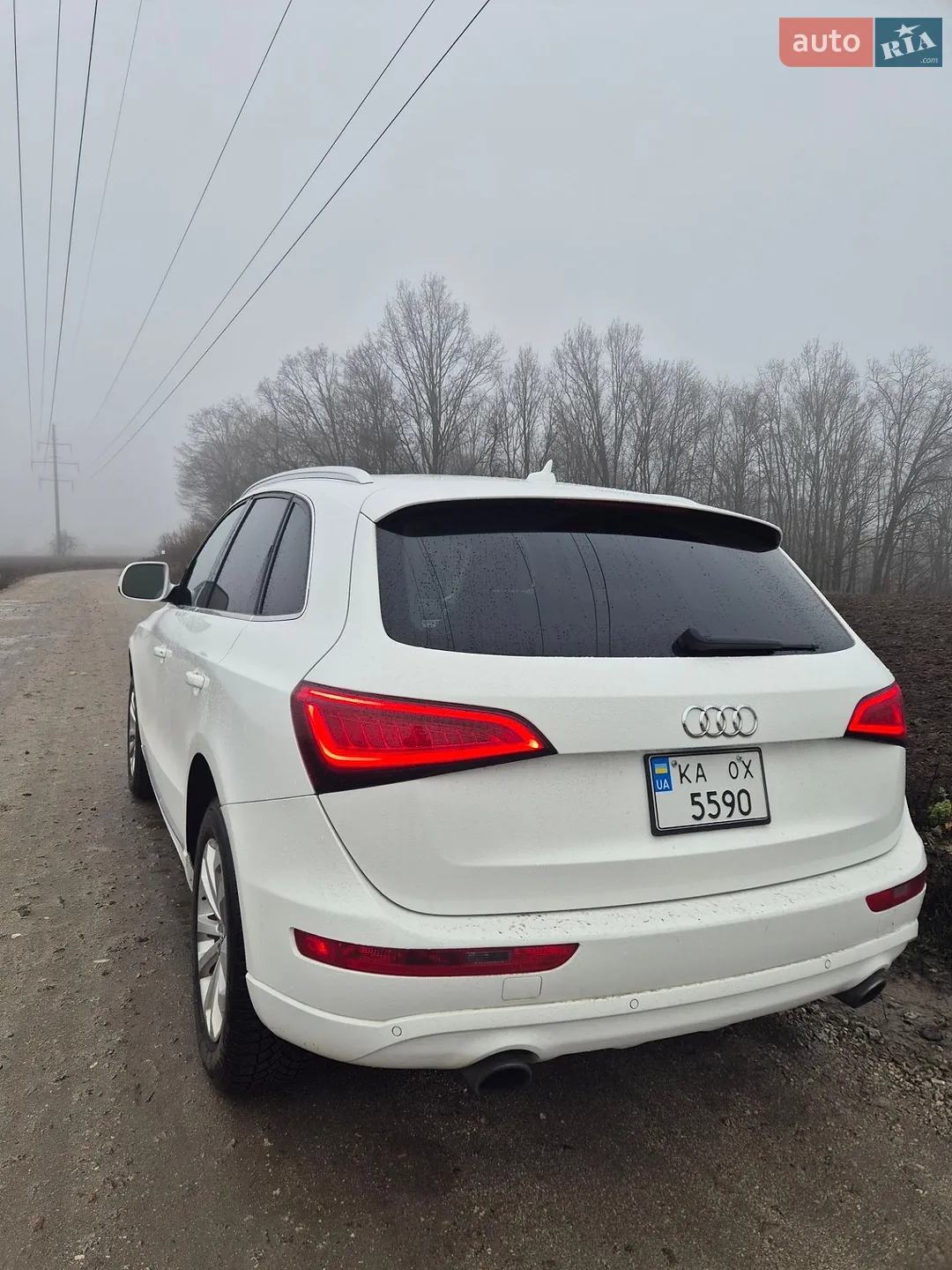 2013 Audi Q5 - фото 1