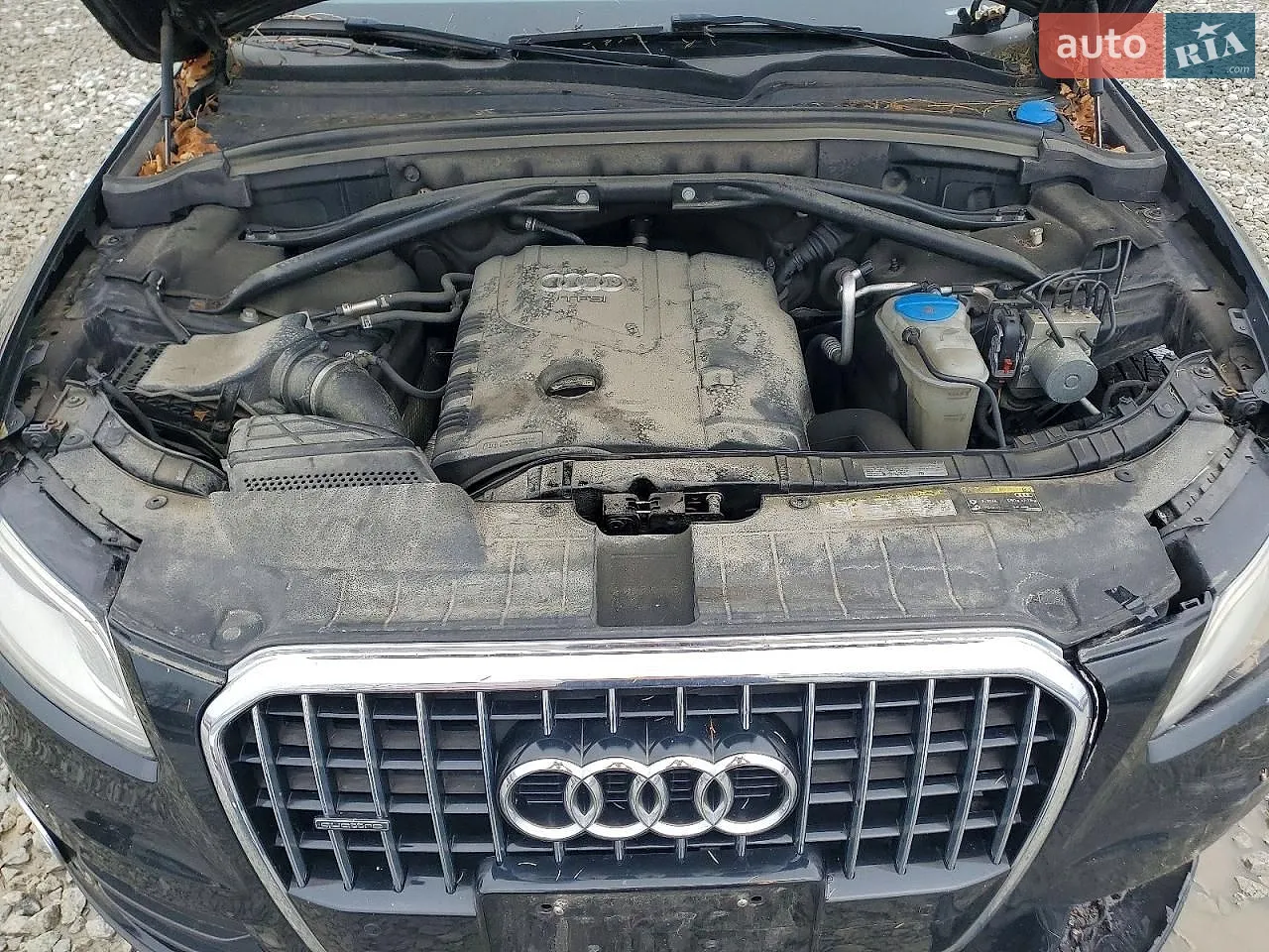 2016 Audi Q5 - мініатюра 12