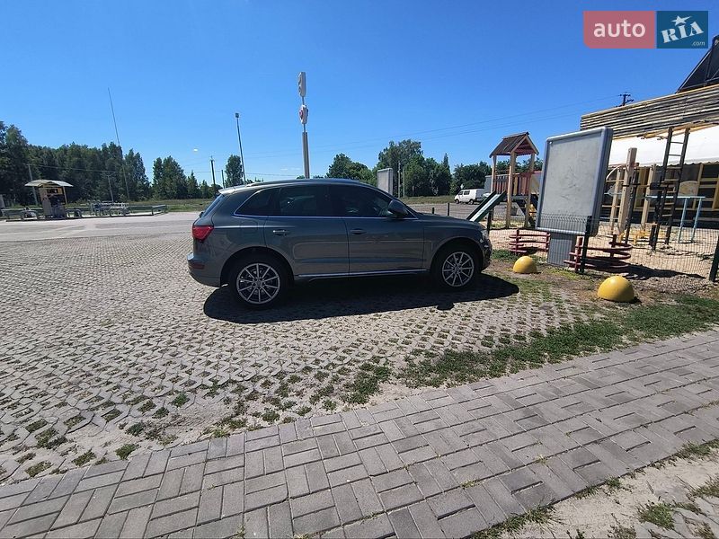 Внедорожник / Кроссовер Audi Q5 2015 в Глухове фото 98 Внедорожник / Кроссовер Audi Q5 2015 в Глухове