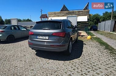 Внедорожник / Кроссовер Audi Q5 2015 в Глухове фото 100 Внедорожник / Кроссовер Audi Q5 2015 в Глухове