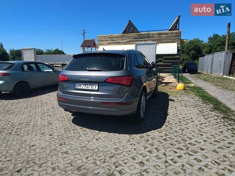 Внедорожник / Кроссовер Audi Q5 2015 в Глухове фото 100 Внедорожник / Кроссовер Audi Q5 2015 в Глухове