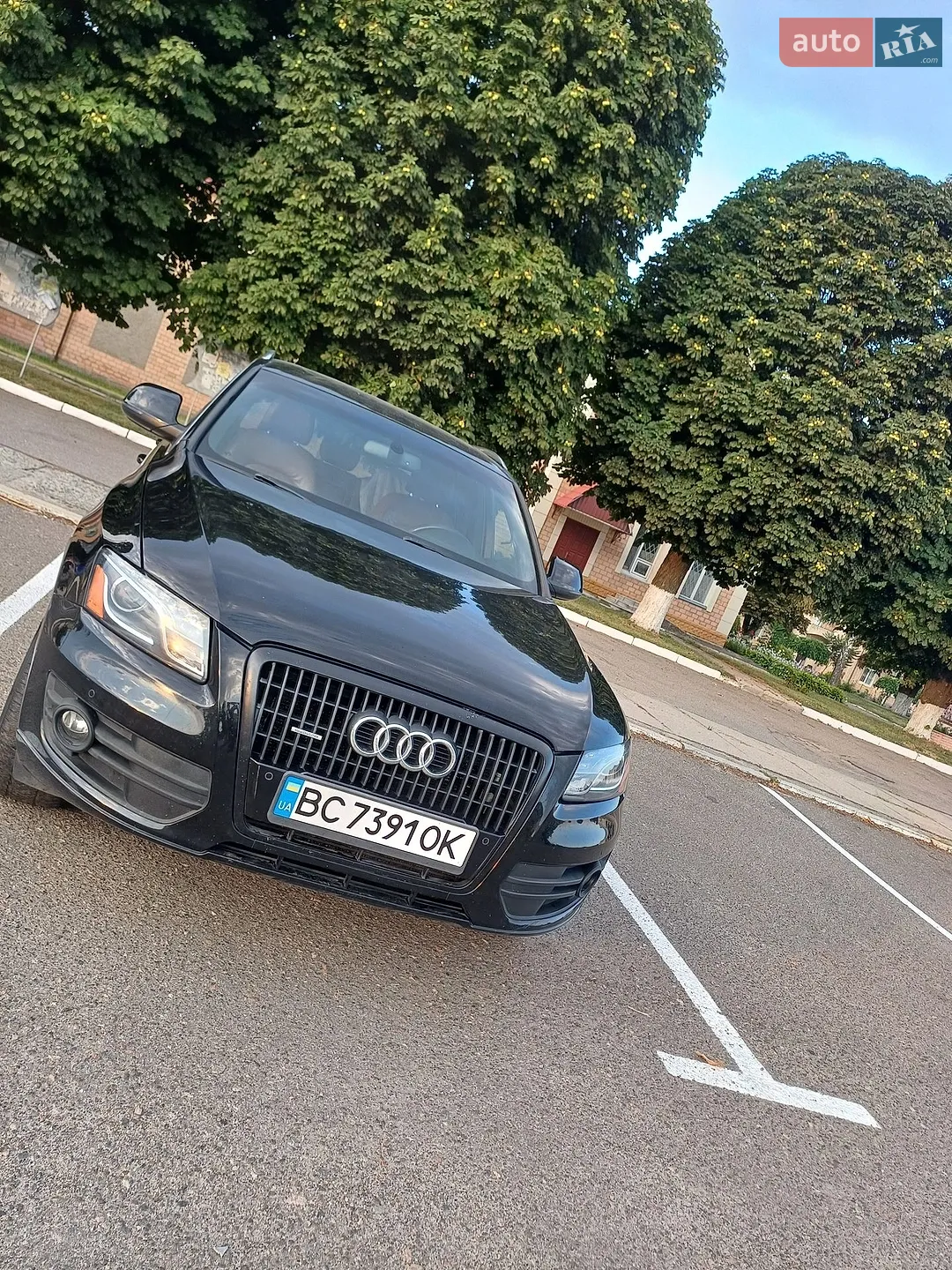 2010 Audi Q5 - мініатюра 8